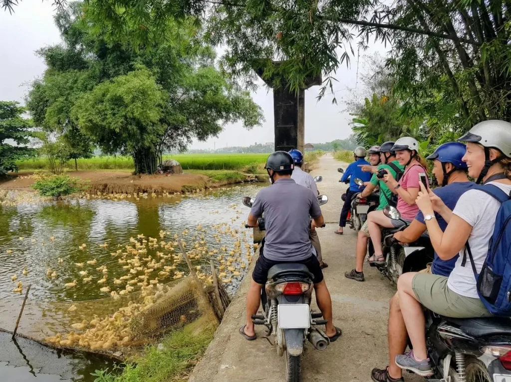 Hue motorbike tour through rice paddies